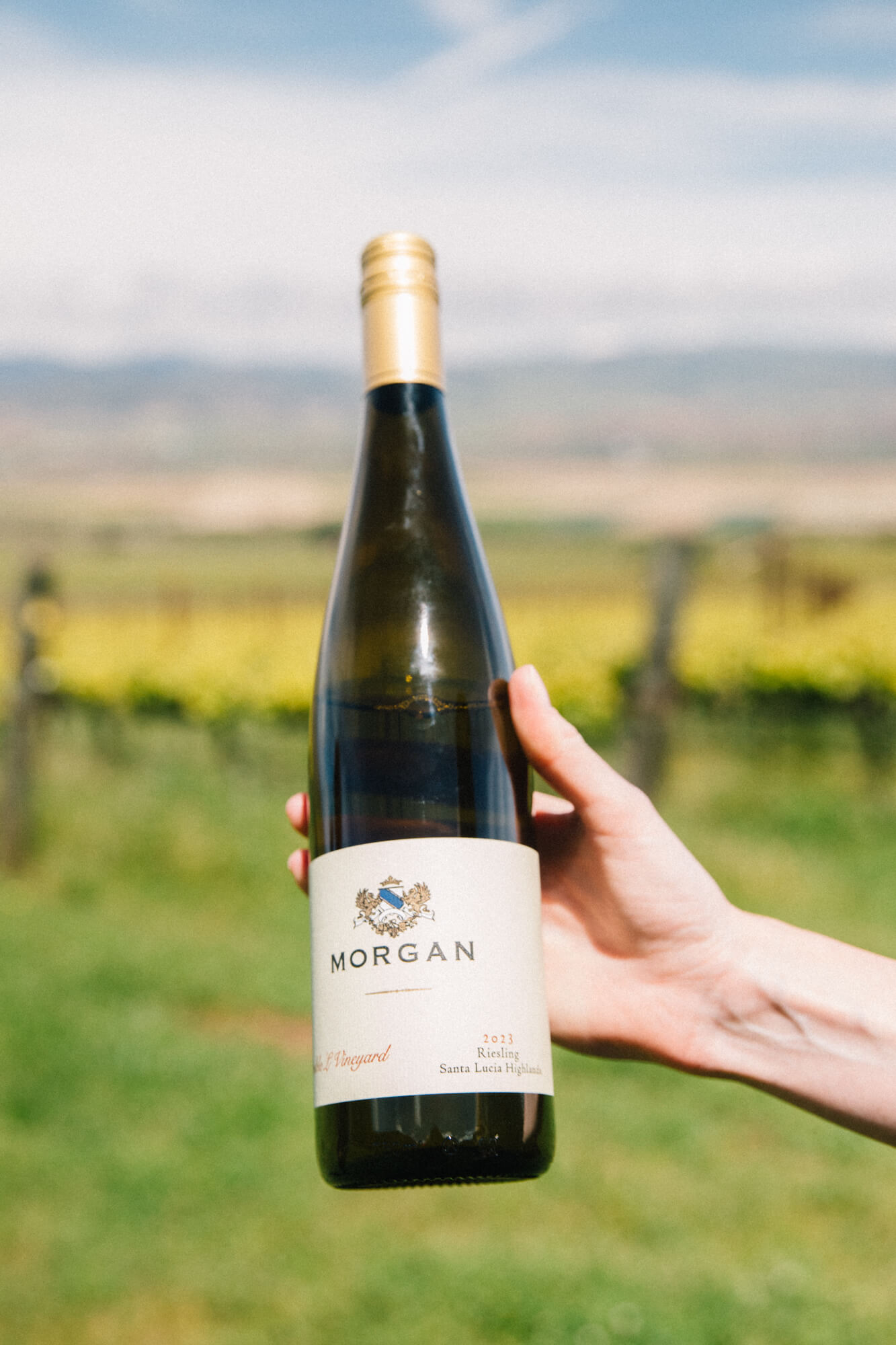 Morgan Winery bottle held in hand with Santa Lucia Highlands vineyards in background.