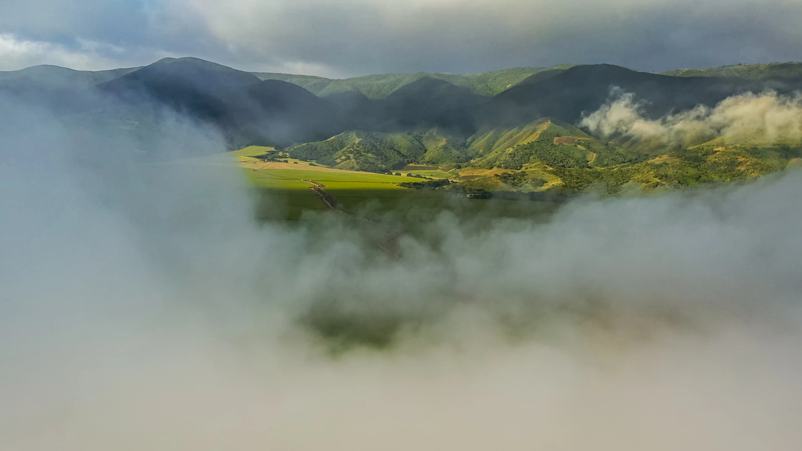 Fog over the vineyards of Santa Lucia Highlands Monterey wine country