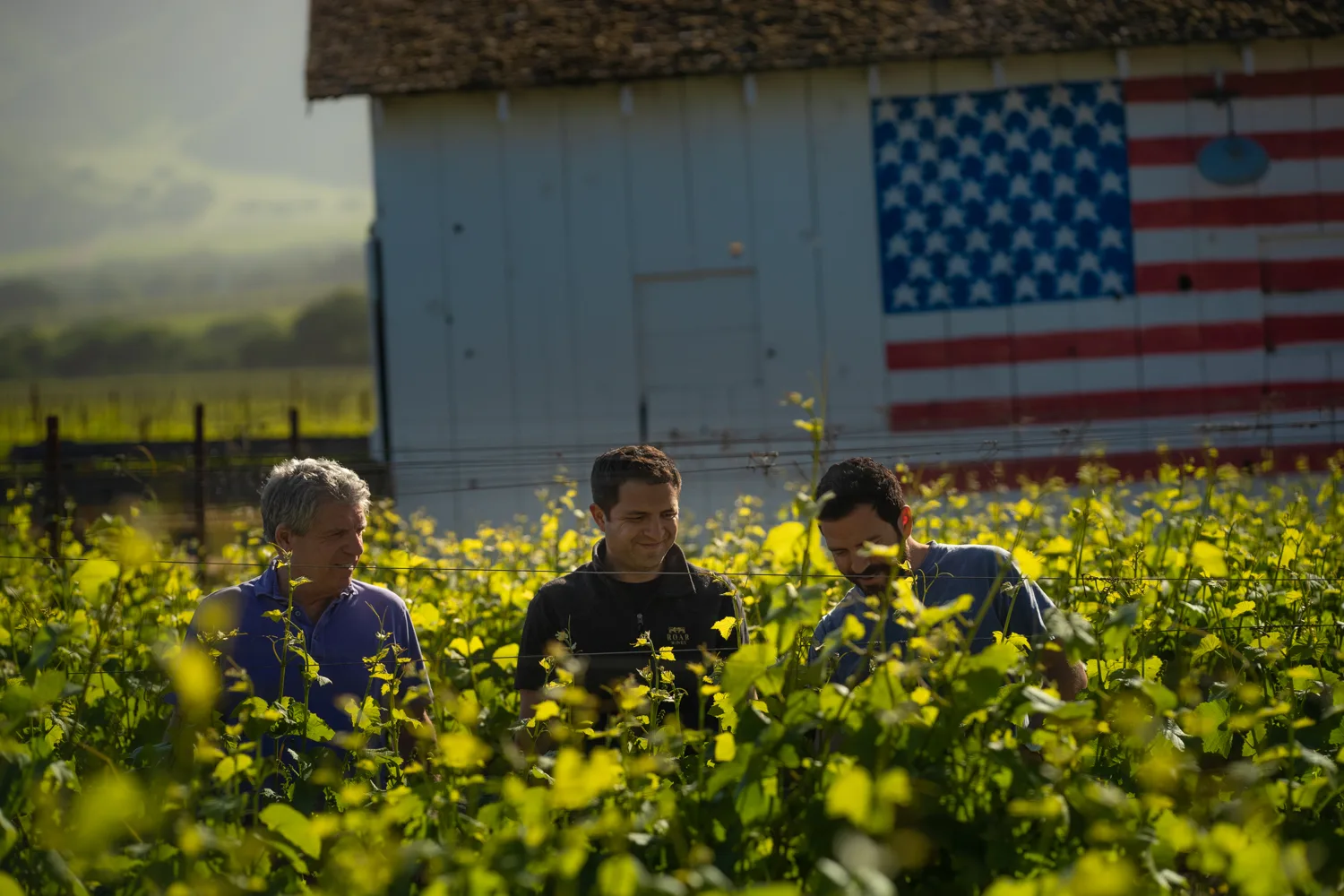 Franscioni family at Soberanes Vineyard