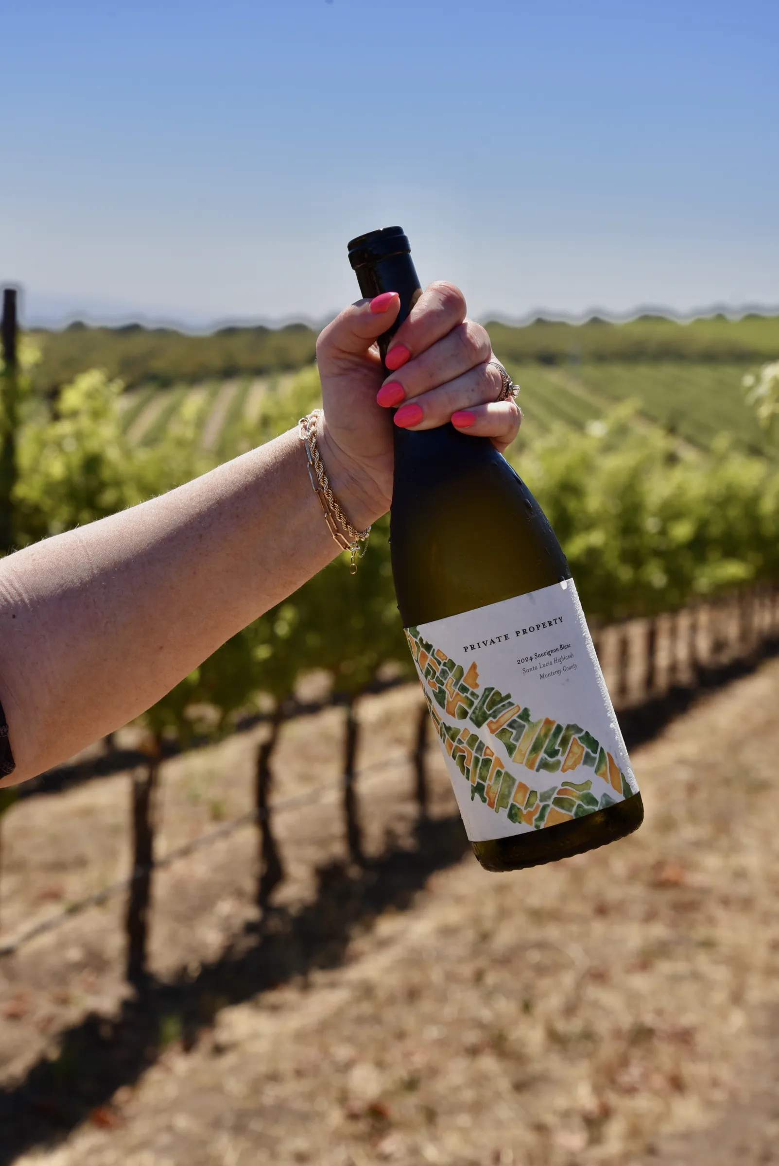 Hand holding Caraccioli Escolle wine bottle in Santa Lucia Highlands vineyard.