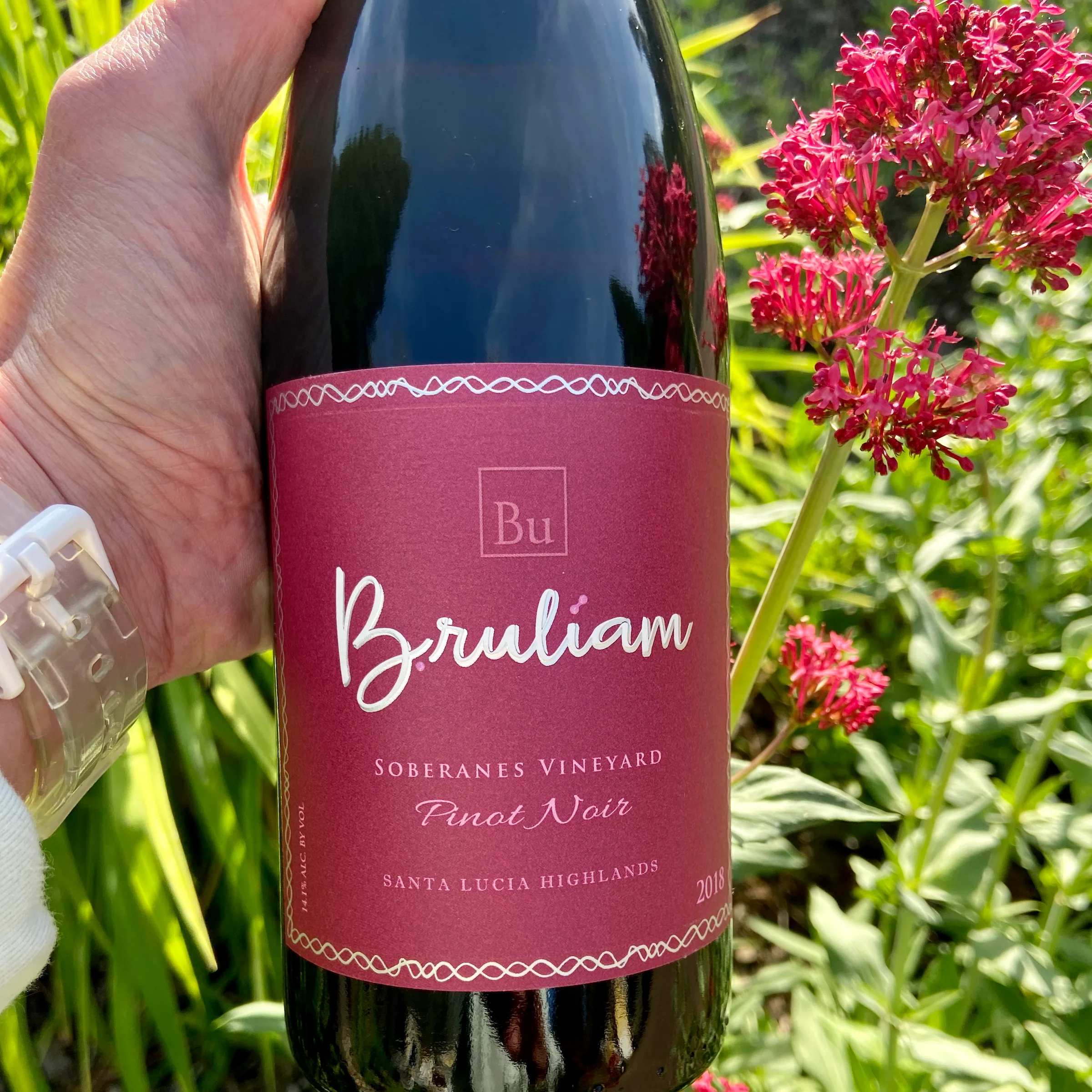 wine bottle