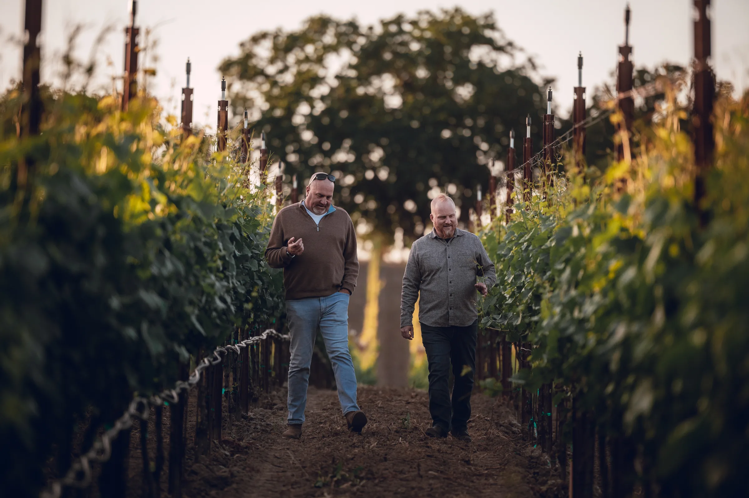 Dan Kosta and winemaker Shane Finley walk through a vineyard in Santa Lucia Highlands.