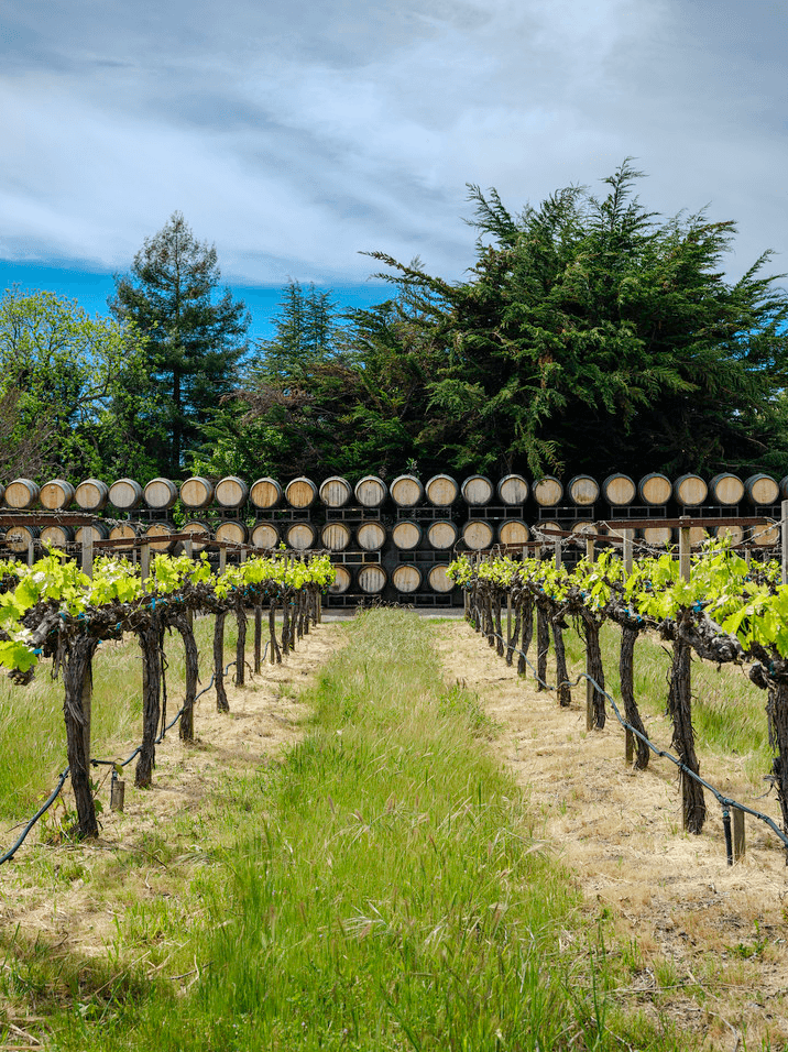 folktale winery carmel valley tasting