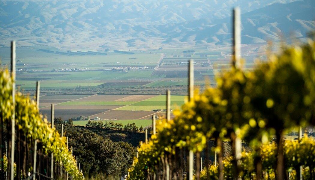 The Pleasures of Santa Lucia Highlands Pinot Noir