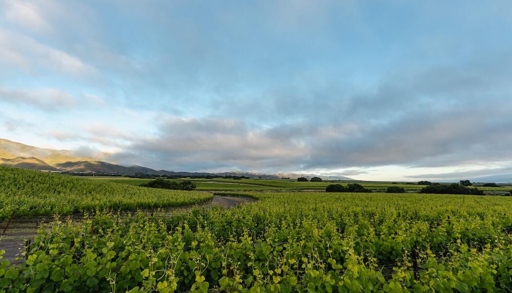 The Perfect Santa Lucia Highlands Itinerary for First-Time Visitors