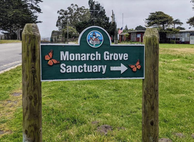 Sign for Monarch Grove Sanctuary with monarch butterflies and arrow in Pacific Grove, CA.