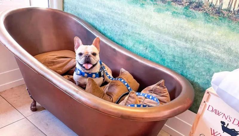 The Best Dog-Friendly Wineries in Monterey Wine Country