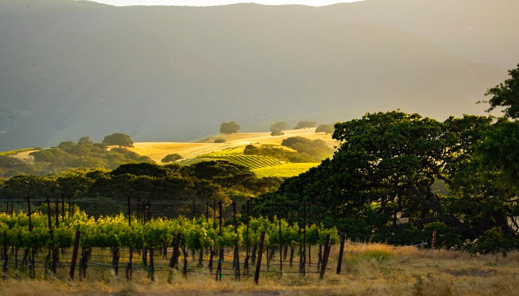 Exploring the Santa Lucia Highlands and Carmel-by-the-Sea
