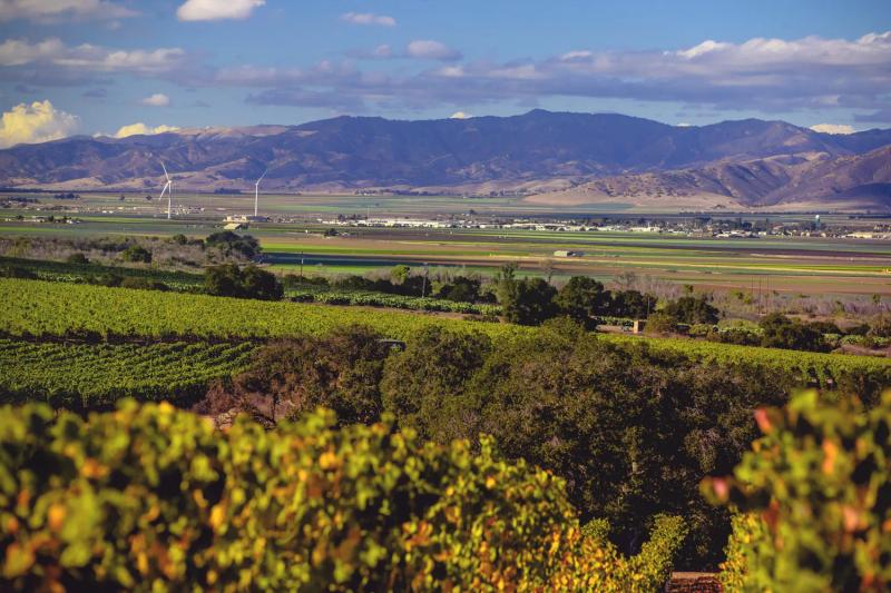 Fall Day Trip: Best Kept Secrets of Monterey Wine Country