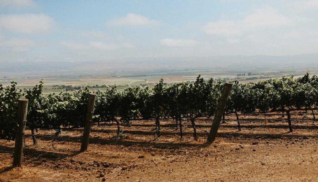 Unlock the Magic of the Santa Lucia Highlands