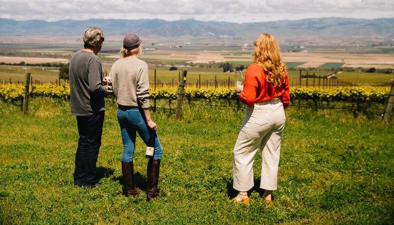 Uncork a Pinot Noir Haven with Whimsy Soul