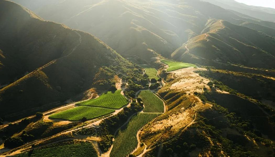 Pisoni Vineyard, Santa Lucia Highlands