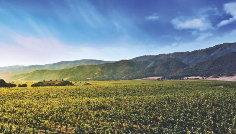 10 of the Top Accolades for the Santa Lucia Highlands From Wine Media