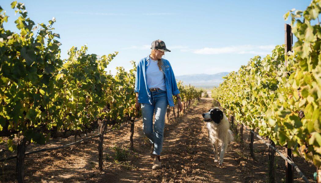 Farming Forever: How Winery Sustainability is Practiced in Santa Lucia Highlands