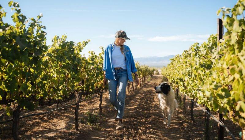 Farming Forever: How Winery Sustainability is Practiced in Santa Lucia Highlands
