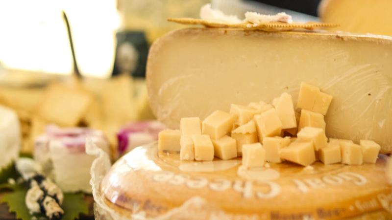 Assortment of cheeses, including cubed cheese, at a Santa Lucia Highlands wine event.