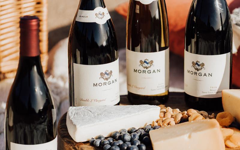 Wine & Cheese Pairing by The Cheese Shop's Kent Torrey