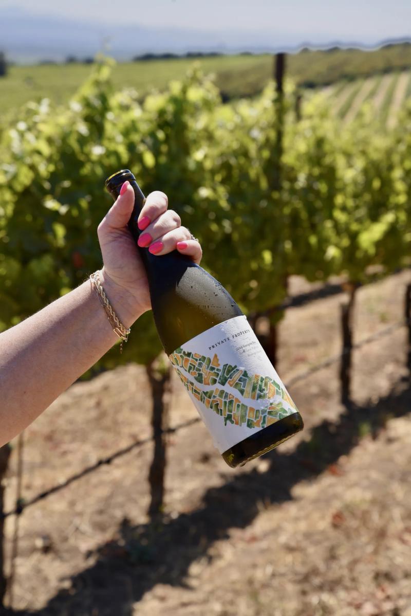Hand holding a bottle of wine in a vineyard in Santa Lucia Highlands, California.