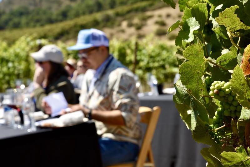 Sommelier education event at Caraccioli Escolle Vineyard, Santa Lucia Highlands, with attendees and grapevines.