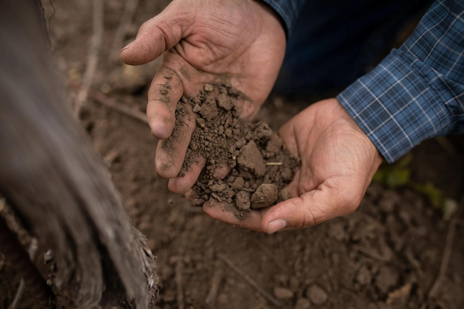 Hands holding soil from Escolde Vineyard, Santa Lucia Highlands, Monterey County, California.