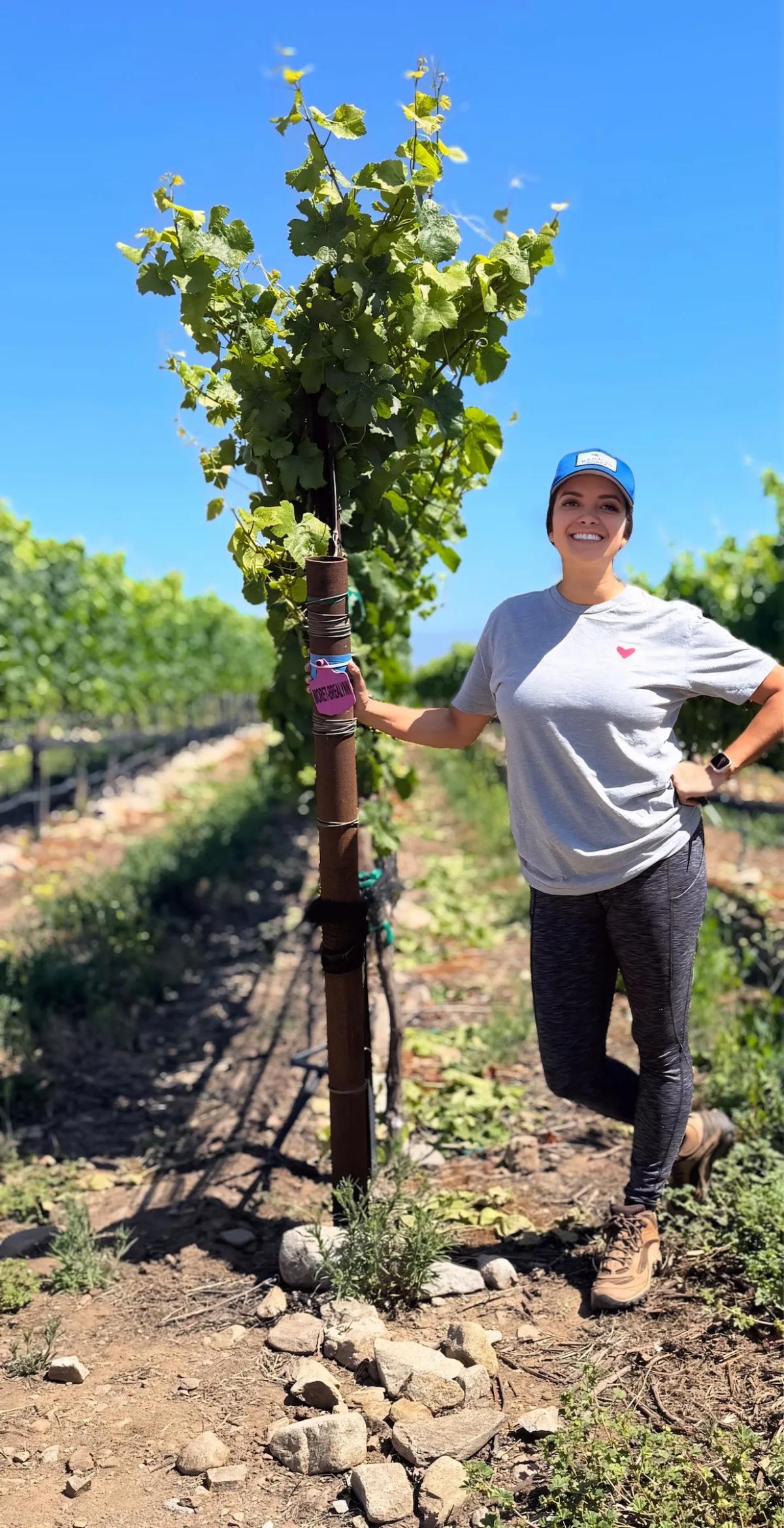 Moret Brealynn Wines
