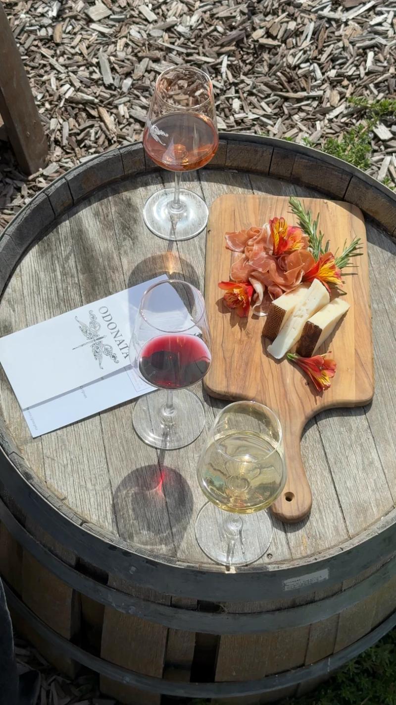Wine tasting with cheese and charcuterie on a barrel at Odonata Wines, a Salinas winery on River Road in Santa Lucia Highlands