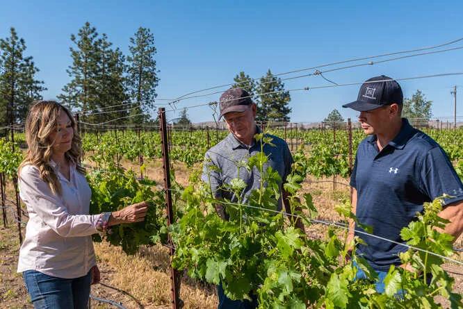 Mooney Family Wines owners inspect vines in Santa Lucia Highlands, Monterey County, CA.