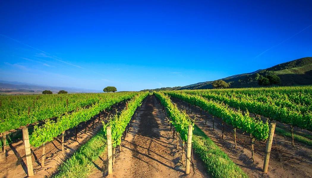 Generations of careful stewardship have shaped Santa Lucia Highlands vineyards into land built to last — farmed with the next century in mind.