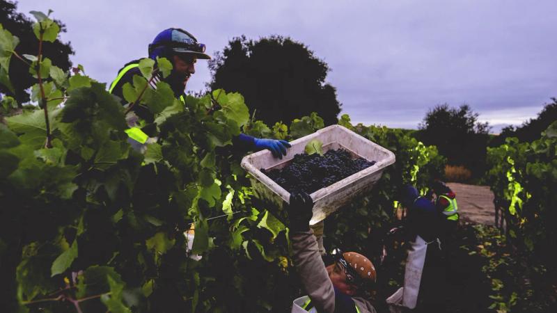 Inside the 2026 Harvest