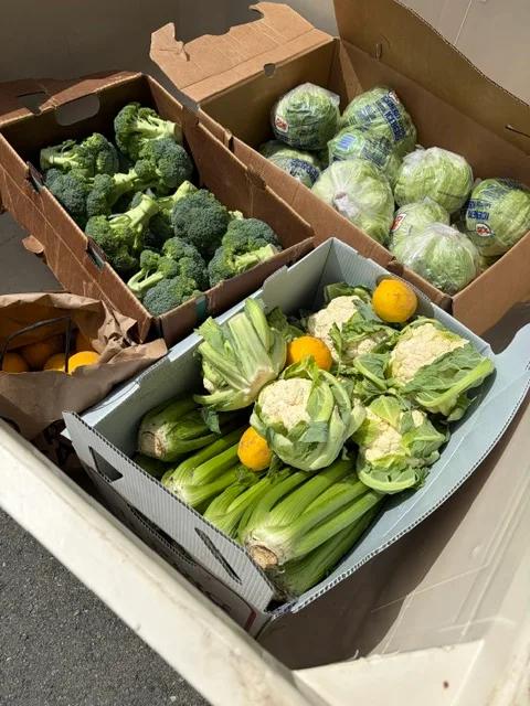 Vegetable farmer Mark Pisoni sends produce he farms along with winegrapes to winemakers in Napa Sonoma that purchase grapes from his vineyards.
