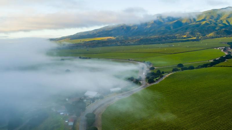 Why Santa Lucia Highlands Wines Are So Balanced