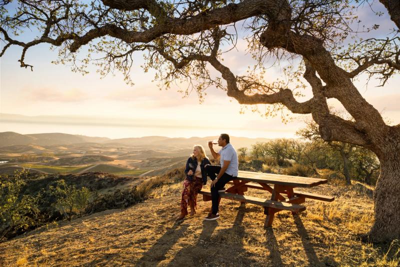 Unique things to do in Monterey County