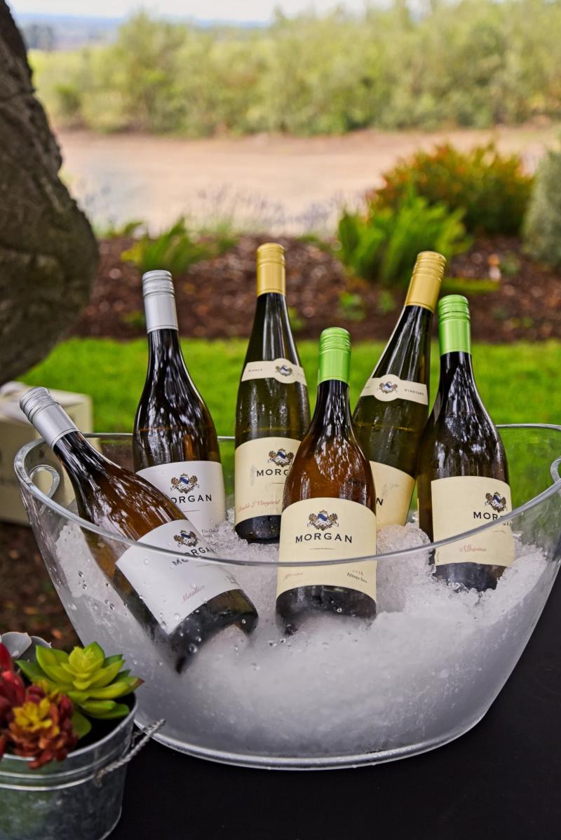 Morgan Winery bottles chilling in ice at Double L Ranch, Santa Lucia Highlands.
