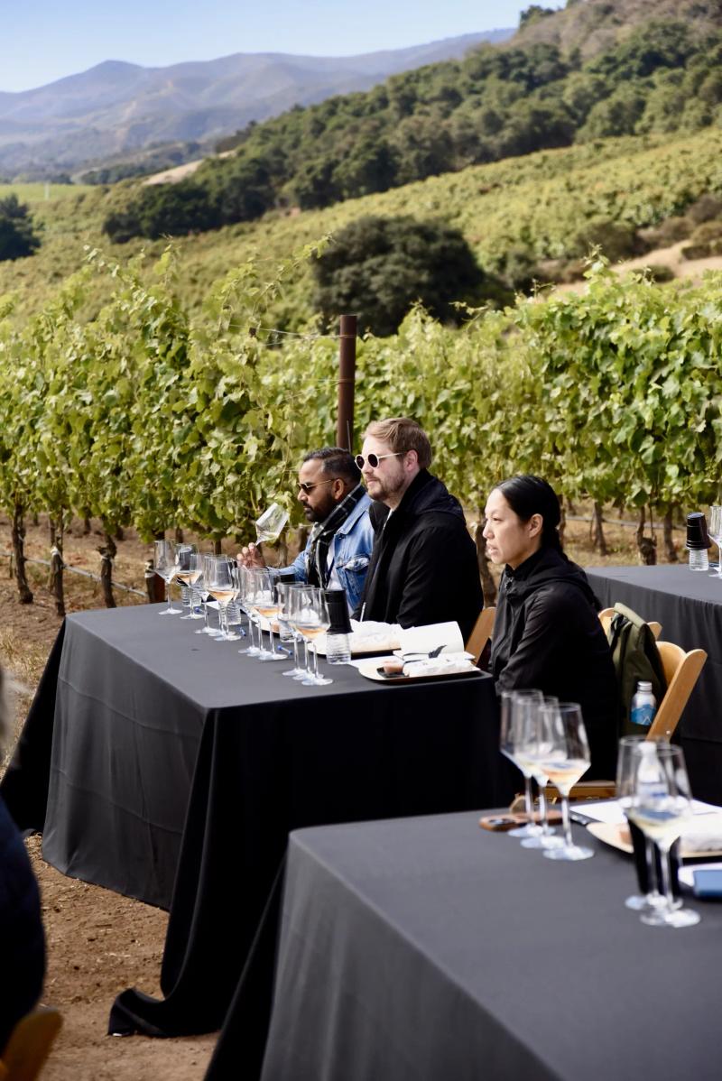 Sommelier education event at Caraccioli-Escolle Vineyard, Santa Lucia Highlands, California.