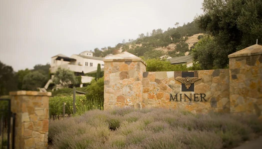 Miner Family Winery tasting room entrance with stone pillars and lavender in Oakville, Napa Valley.