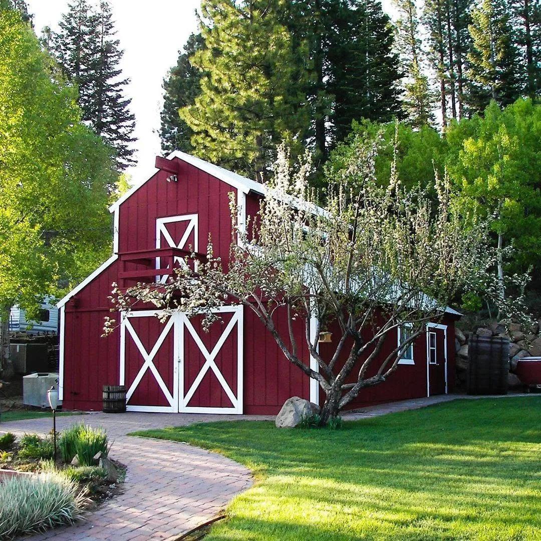 Red barn with white doors and blooming tree in Santa Lucia Highlands, California.