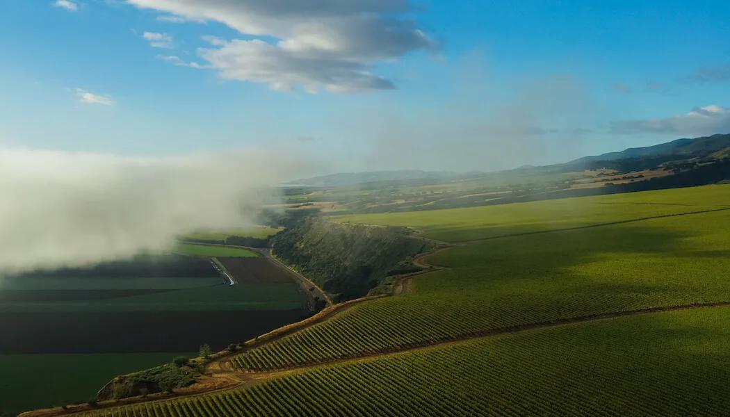 Sun, Wind and Wine: Inside the Santa Lucia Highlands