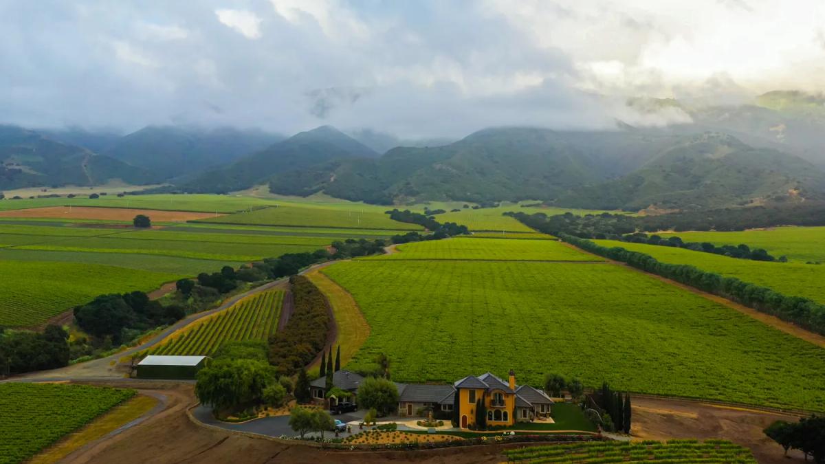 Rosellas Vineyard, Roar Wines, Santa Lucia Highlands, Monterey County, California.