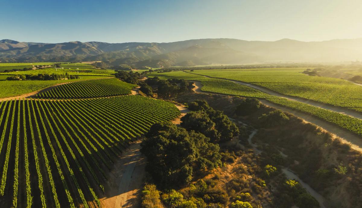 Soberanes Vineyard in Santa Lucia Highlands, Monterey County, California, with rolling hills and vineyards at sunset.